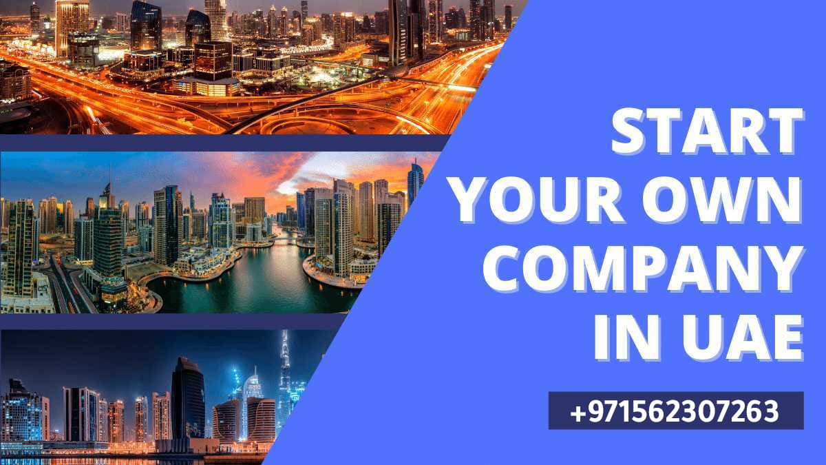 عملية تأسيس الشركات